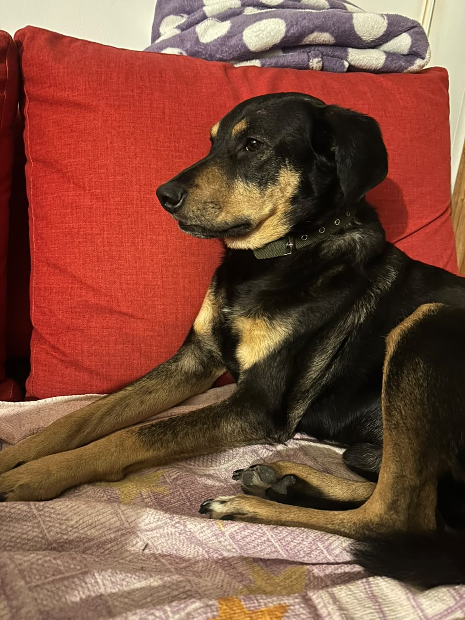 Julio en el lavadero